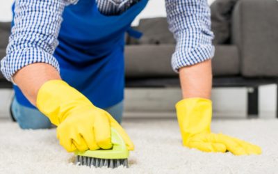 Carpet Cleaning Specialists: Reviving Your Floors with Precision